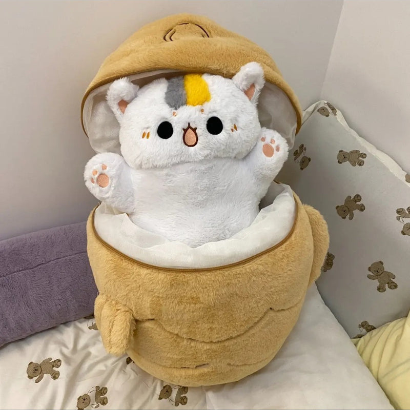Yuki the Cat